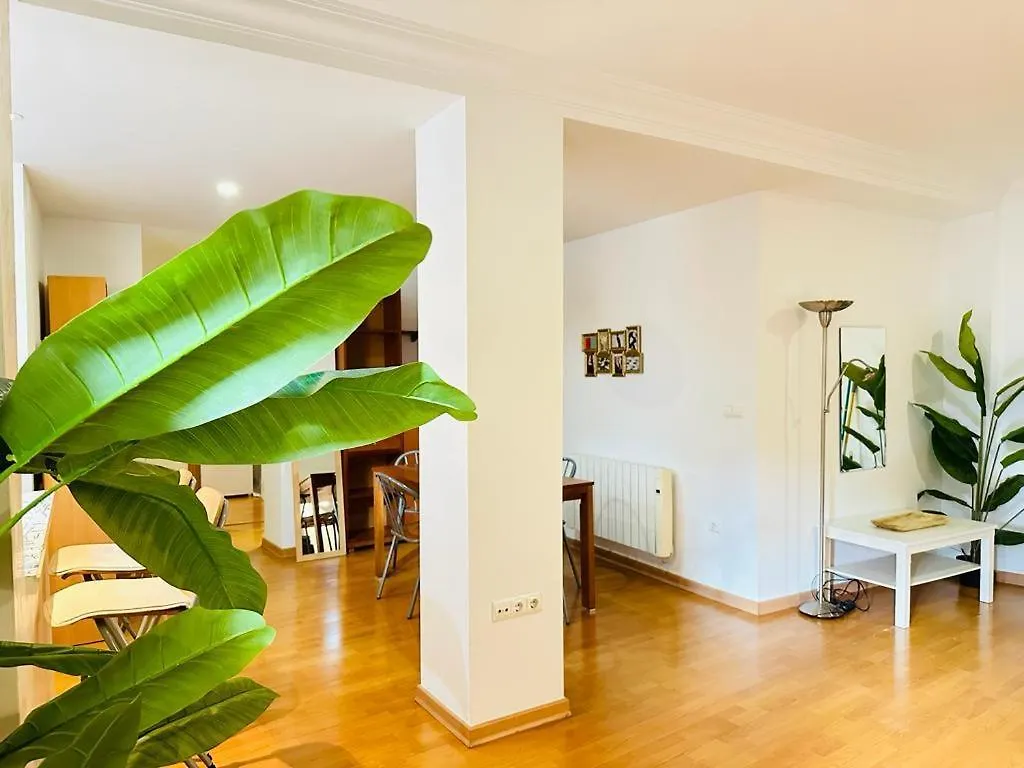 Strella Home Granada